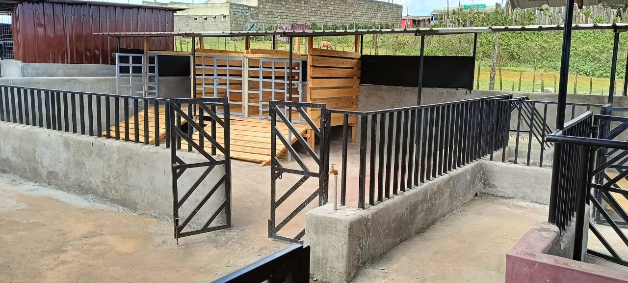 WhatsApp Image 2025-05-29 at 09.45.53