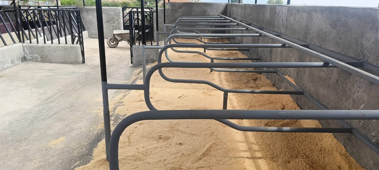 WhatsApp Image 2025-05-29 at 09.45.54