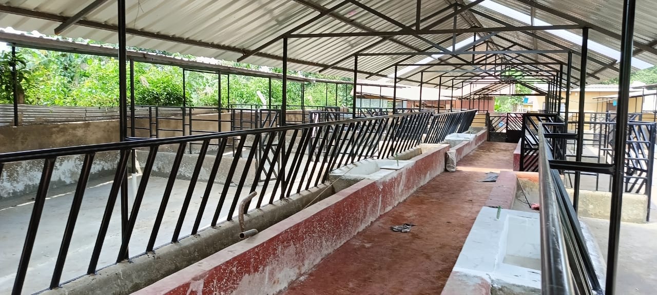 WhatsApp Image 2025-05-29 at 09.54.19