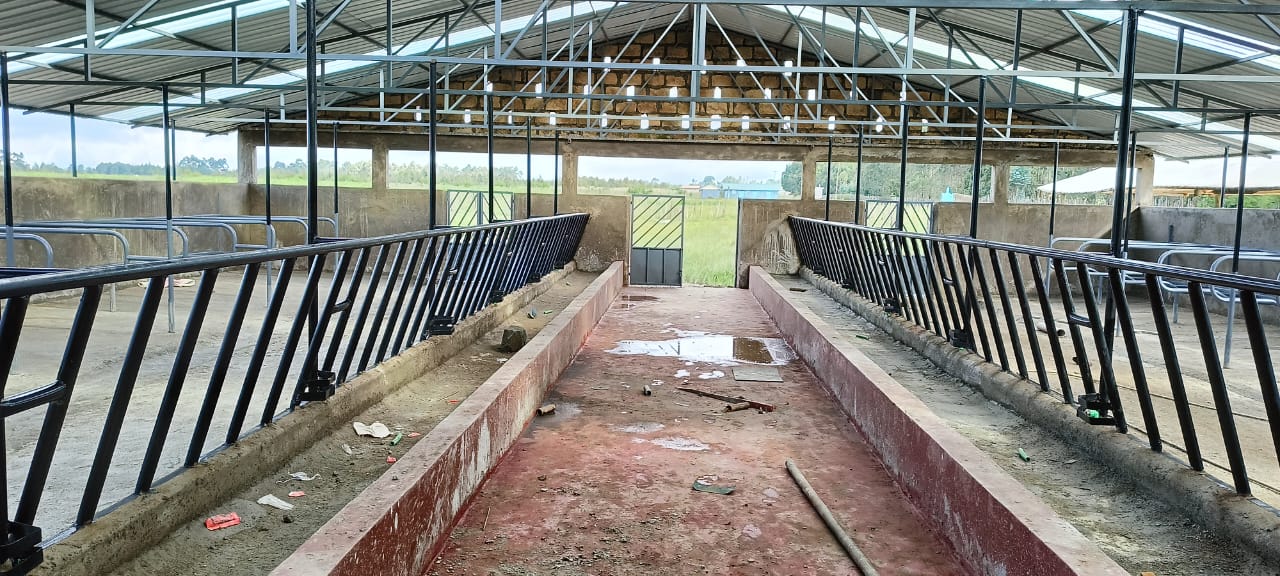 WhatsApp Image 2025-05-29 at 09.54.20 (1)