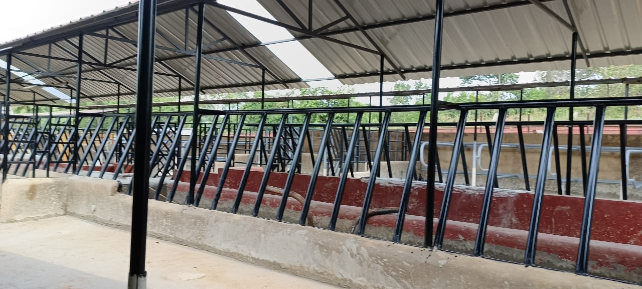 WhatsApp Image 2025-05-29 at 09.54.20